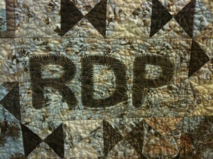 Applique quilting detail, Ronan's Quilt
